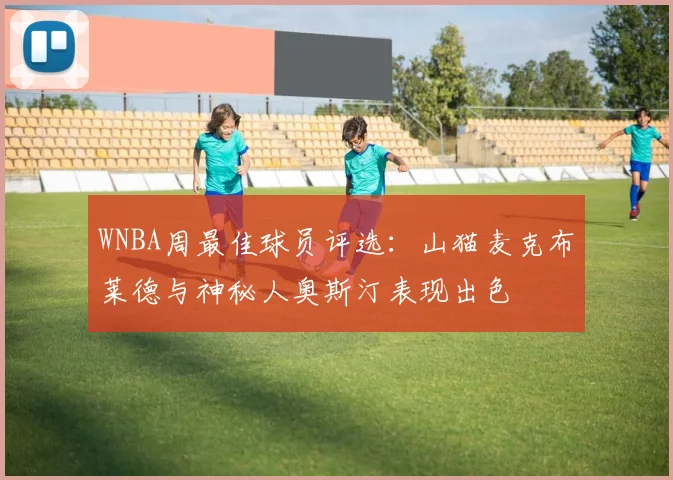 WNBA周最佳球员评选：山猫麦克布莱德与神秘人奥斯汀表现出色