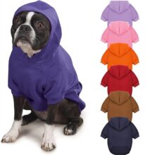 Sudadera lisa con capucha para perro, ropa para mascotas para perros pequeños, abrigo para cachorro, chaquetas, sudadera para Chihuahua, disfraz de gato, trajes de algodón para mascotas