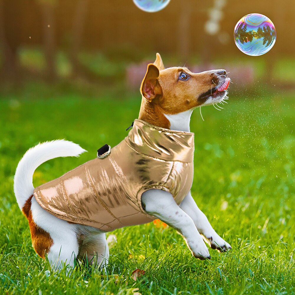 Ropa para perros pequeños ropas impermeables para perro cachorro mascota chaqueta invierno cálido chaleco perro abrigo ropa para Chihuahua Bulldog Francés