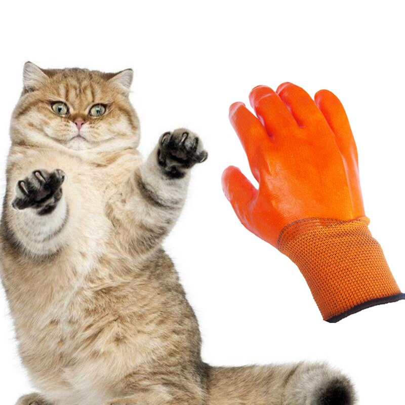 Guante de PVC antimordedura para animales pequeños, comedero para hámster, gato, ratón, cucarachas, guantes cortos de Seguridad, 1 par