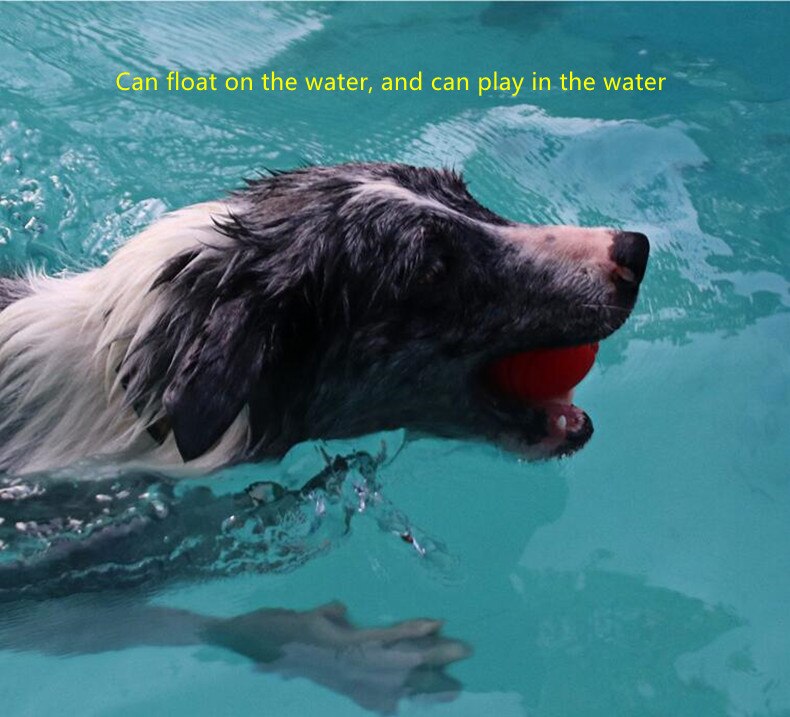 Pelota de goma sólida para perro, juguete interactivo para masticar, Indestructible, con cuerda, para cachorros grandes