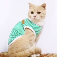 Ropa clásica a rayas para gatos, chaleco para perros y gatos, camisa, traje Keddie, productos para mascotas, traje de verano