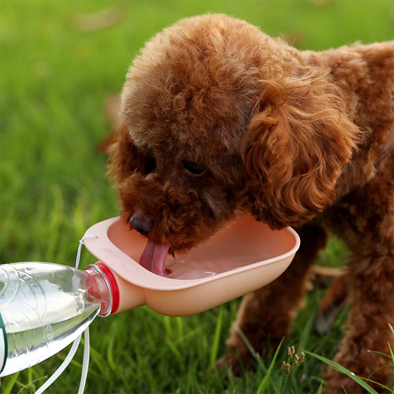 Botella de agua para perro, dispensador de agua portátil a prueba de fugas, alimentador de viaje al aire libre, tazón para beber para cachorro y gato, producto ambiental para mascotas