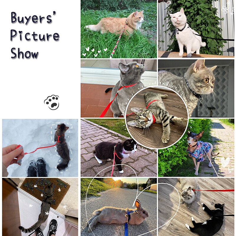 Arnés de nailon ajustable para gato, correa de tracción para mascotas, Collar Halter para perros y gatos, productos para mascotas
