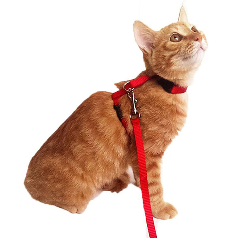 Conjunto de arnés y correa para gatos, accesorio ajustable a prueba de escapes, para cachorros, perros y gatitos, Collar con correa de nailon