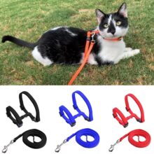Conjunto de arnés y correa para gatos, accesorio ajustable a prueba de escapes, para cachorros, perros y gatitos, Collar con correa de nailon