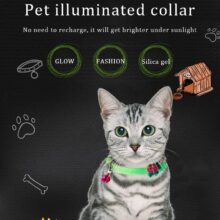 Collar luminoso de silicona fluorescente para perro y gato, accesorio antipérdida con campanas, Anillo para el cuello
