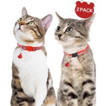 Collar con campana para gato, hebilla ajustable colorida, productos para mascotas, accesorios para gatitos, 2 piezas