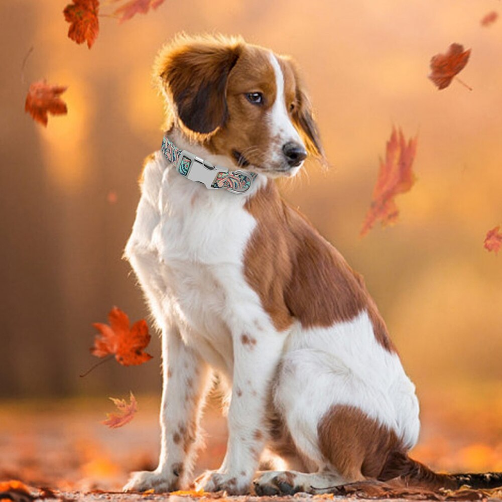 Collar personalizado para perro y gato indio, collares de nailon para cachorro, Chihuahua, Pug, mascotas, ajustables para perros pequeños, medianos y grandes