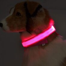 Collar luminoso Led de nailon para perro y gato, Correa luminosa de seguridad nocturna que brilla en la oscuridad, ajustable, suministros para mascotas, accesorios, 7 colores