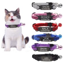 Collar de nailon personalizado para gato, con etiqueta de identificación de nombre, con campana, hebilla ajustable, para perro, cachorro, Chihuahua pequeño