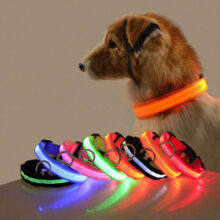 Collar LED recargable por USB para mascotas, accesorio de seguridad nocturna intermitente para perros, accesorios para perros