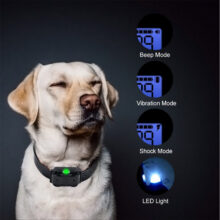 Collar eléctrico de entrenamiento para perros, dispositivo con pantalla LCD, resistente al agua, recargable, con Control remoto, para todos los tamaños, con sonido y vibración