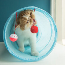 Túnel plegable para mascotas, tubo de juego perfecto para gatos, cachorros, hurones y conejos, juguete divertido para animales que incluye bolas y 2 agujeros