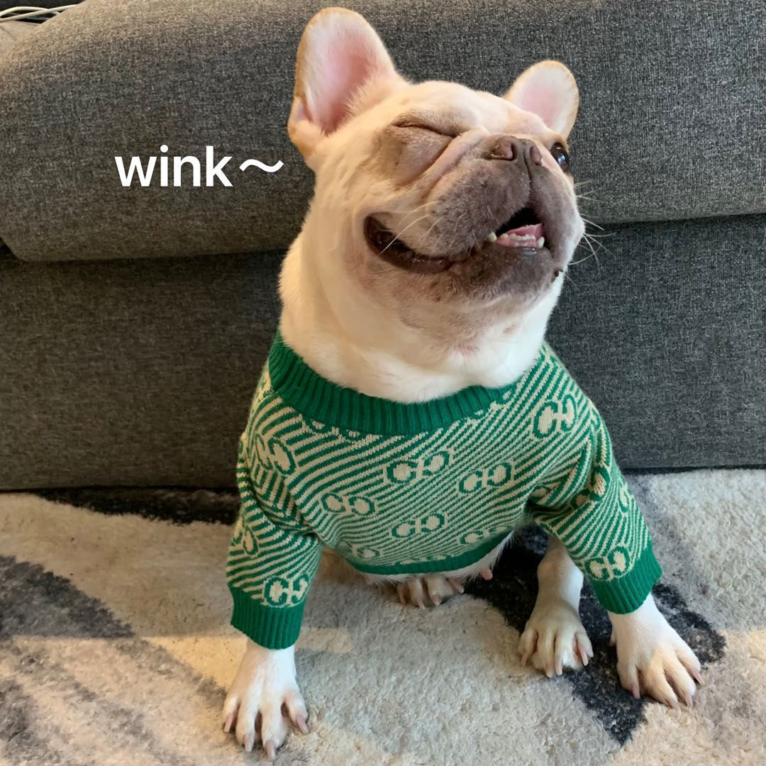 Suéter a rayas para perros pequeños y grandes, ropa moderna y suave, traje de Bulldog Francés, de lujo, GG