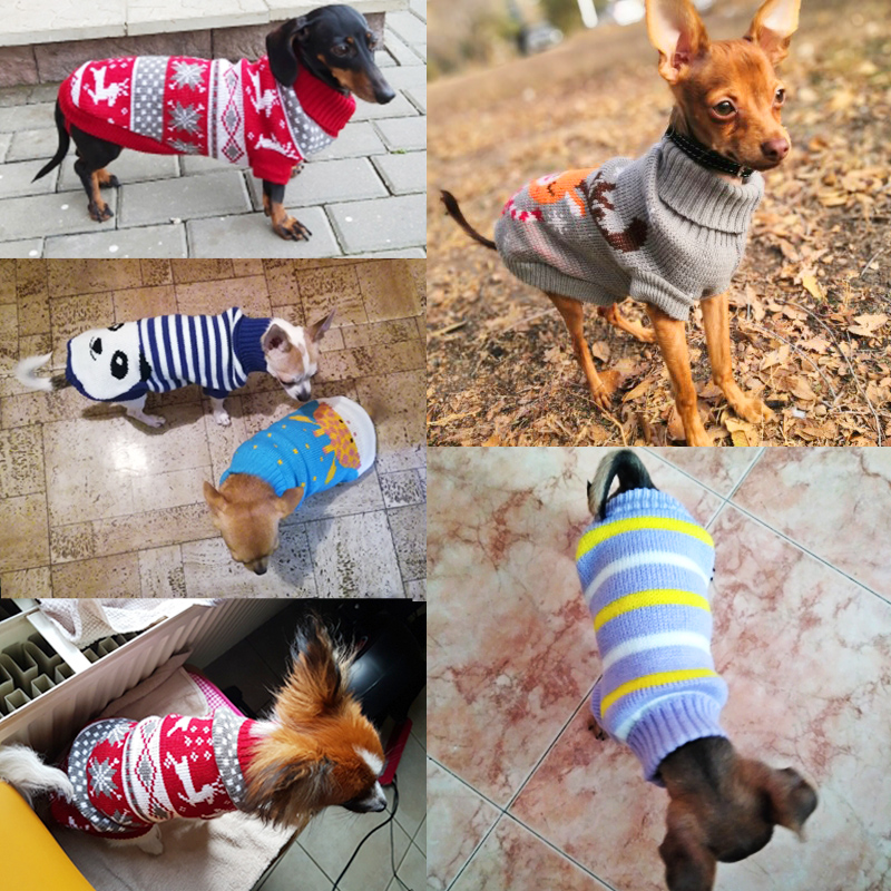 Ropa de invierno para perros pequeños, Jersey de punto con cuello alto para perro York, jersey de Navidad para Chihuahua, cachorro, perro salchicha, eshinx, chaqueta para gato