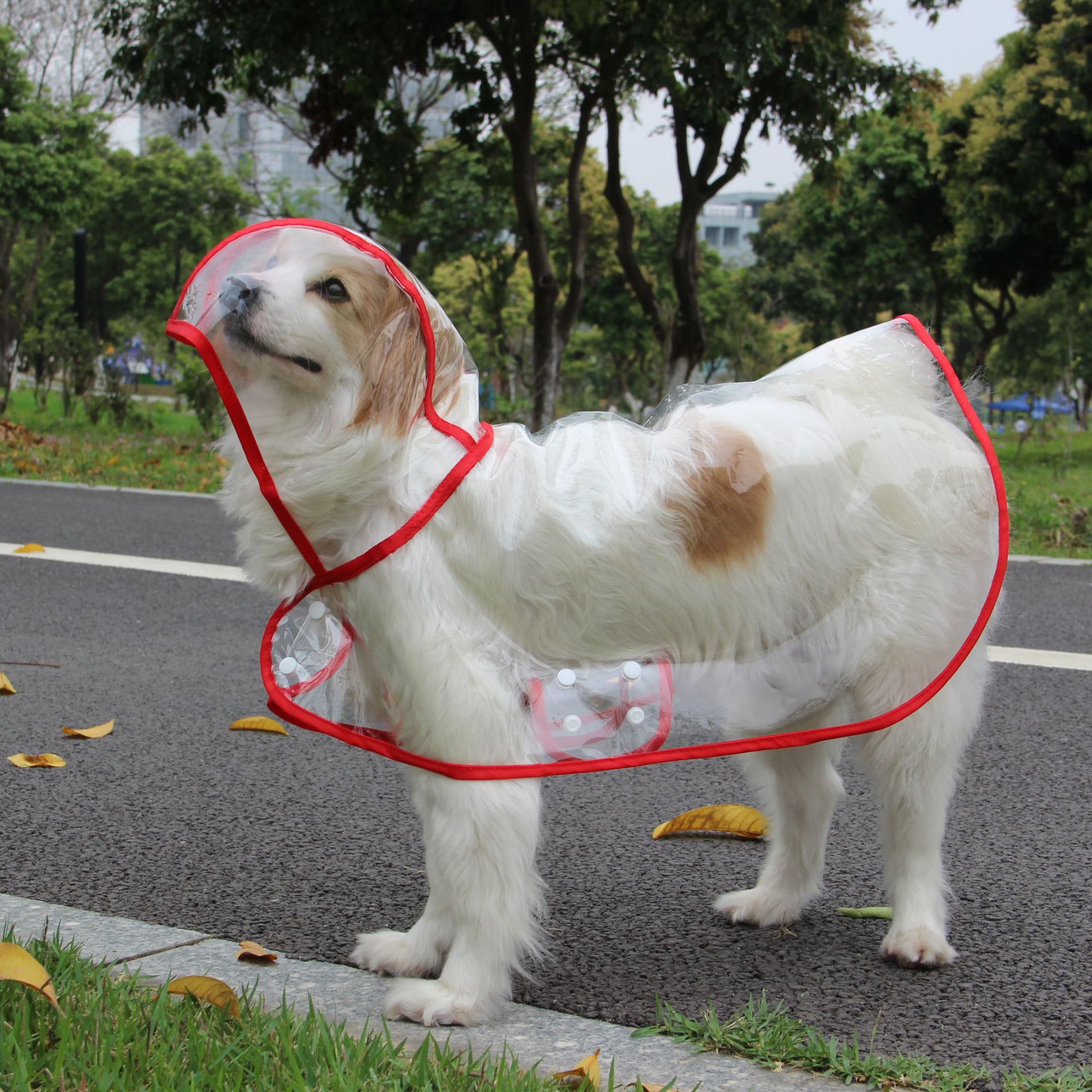 Chubasquero impermeable para perros grandes, Poncho de plástico transparente personalizado, a la moda, con borde de Color, suministros para mascotas