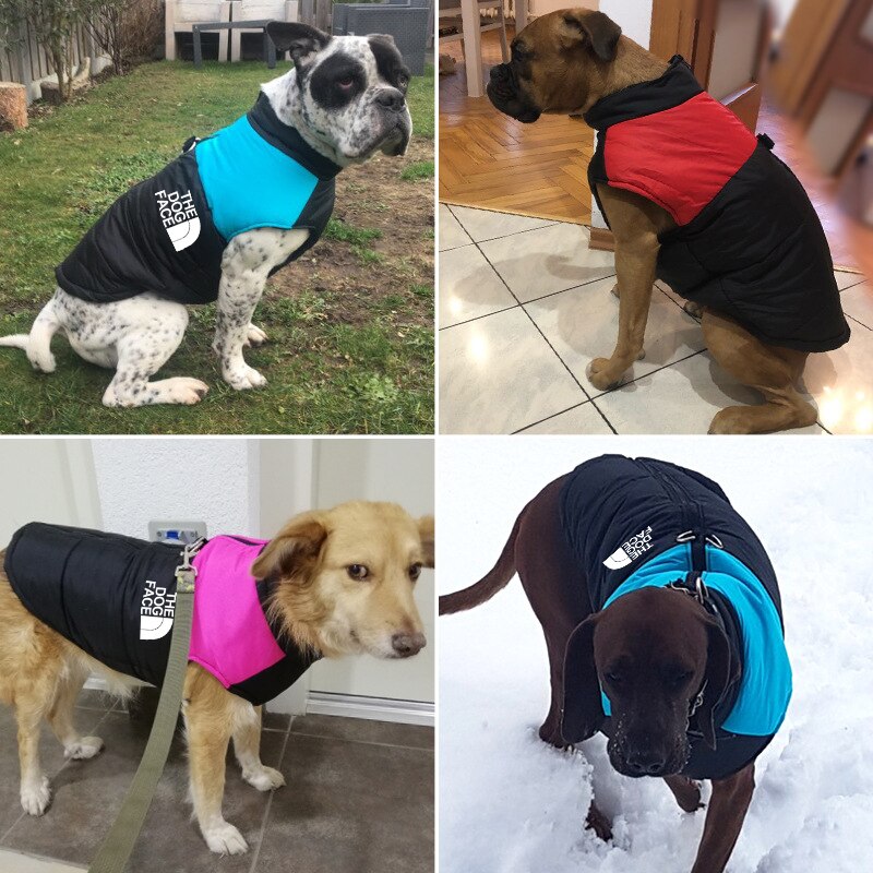 Ropa impermeable para perro, abrigo para mascota, chaleco cálido de invierno, chaqueta acolchada con cremallera, traje facial para perros pequeños, medianos y grandes