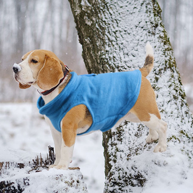 Ropa de invierno de lana para mascotas, abrigo para cachorros, Bulldog Francés, Pug, disfraces, chaqueta para perros pequeños, chaleco para Chihuahua, Yorkie y gatito