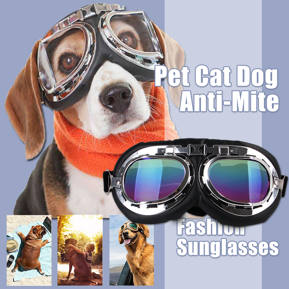Gafas de sol antiácaros para perro y gato, lentes de sol a prueba de viento para motocicleta, protección Uv, para acampar, portátiles y ajustables para mascotas
