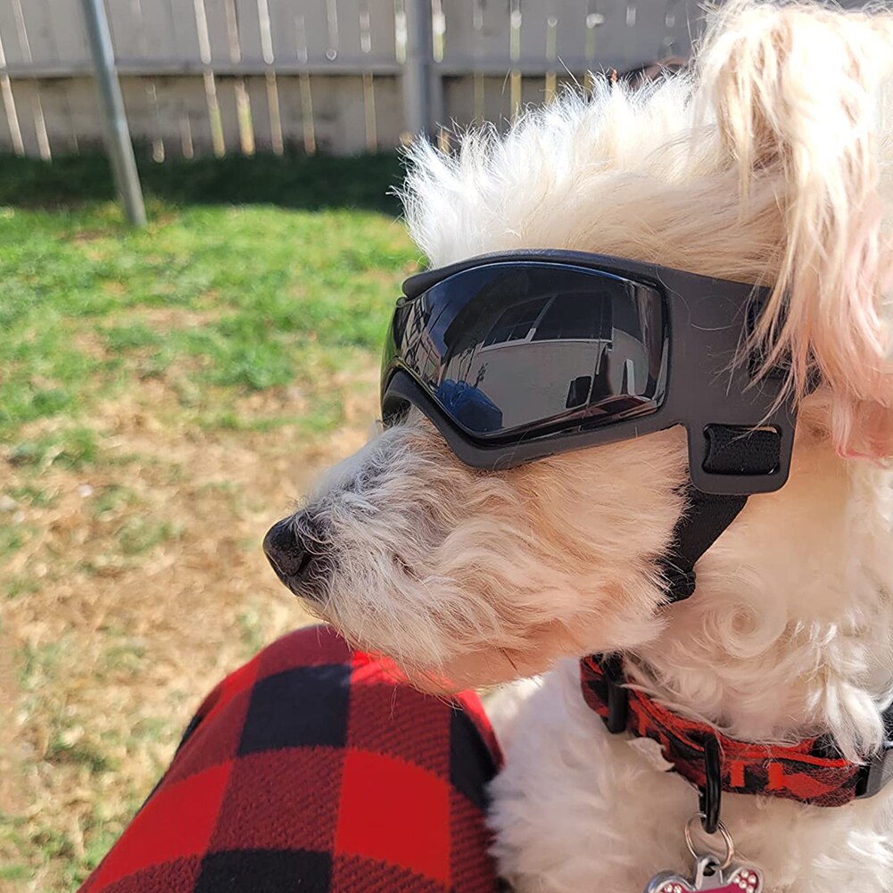 Gafas de sol de estilo al aire libre para mascotas, lentes de sol de tamaño completo para ciclismo, protección Uv, ajustables y portátiles