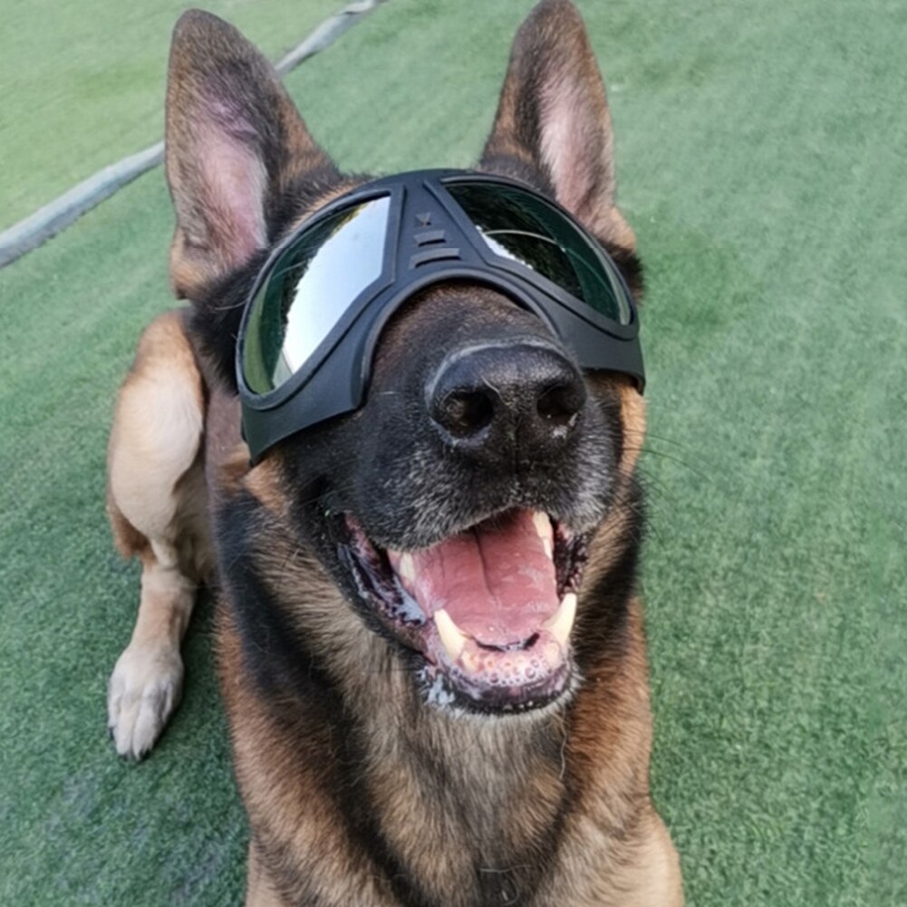 Gafas de sol impermeables para perros, lentes de sol con protección para ojos de perro, a prueba de agua, accesorios para mascotas